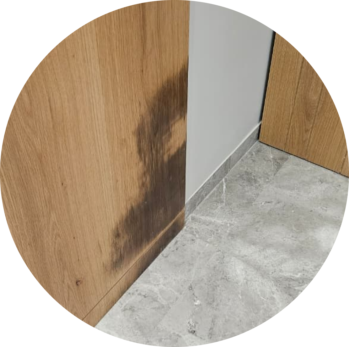 Woodwork Deterioration