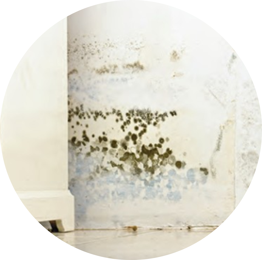 Mold